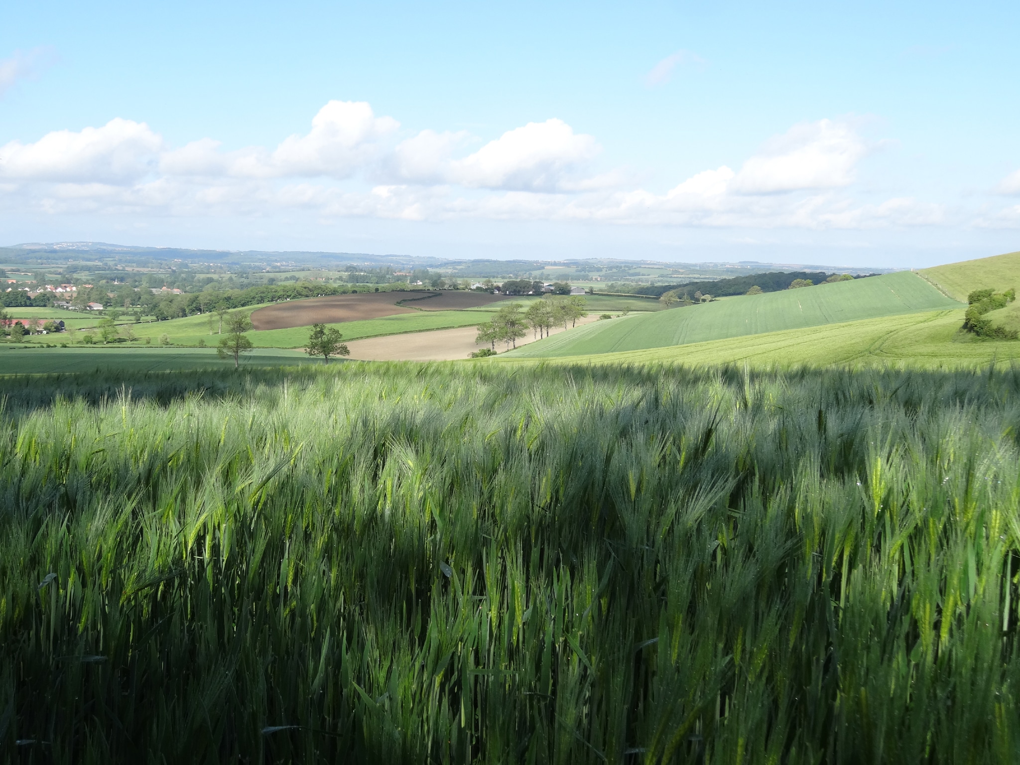Image Le projet France Manche Angleterre EXPERIENCE