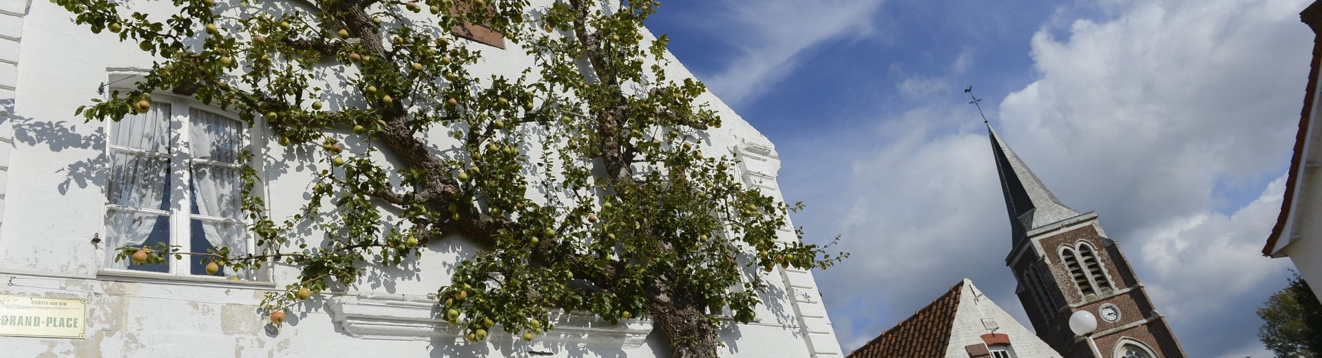 Maison aux poires - Recques - Pas-de-Calais