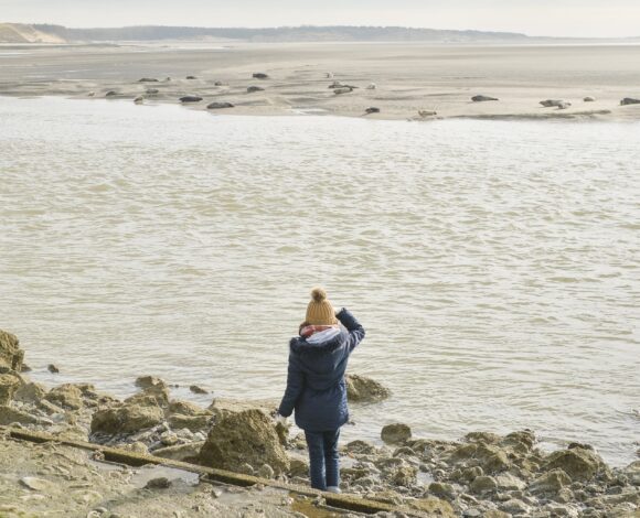  Image Facebook : trois publics, une destination 