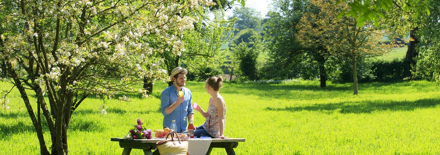 le clos du miroir, chambres hotes, courset, vallee de la course