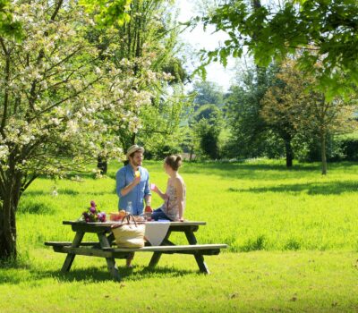  Image - Premiers chiffres de fréquentation 2025 